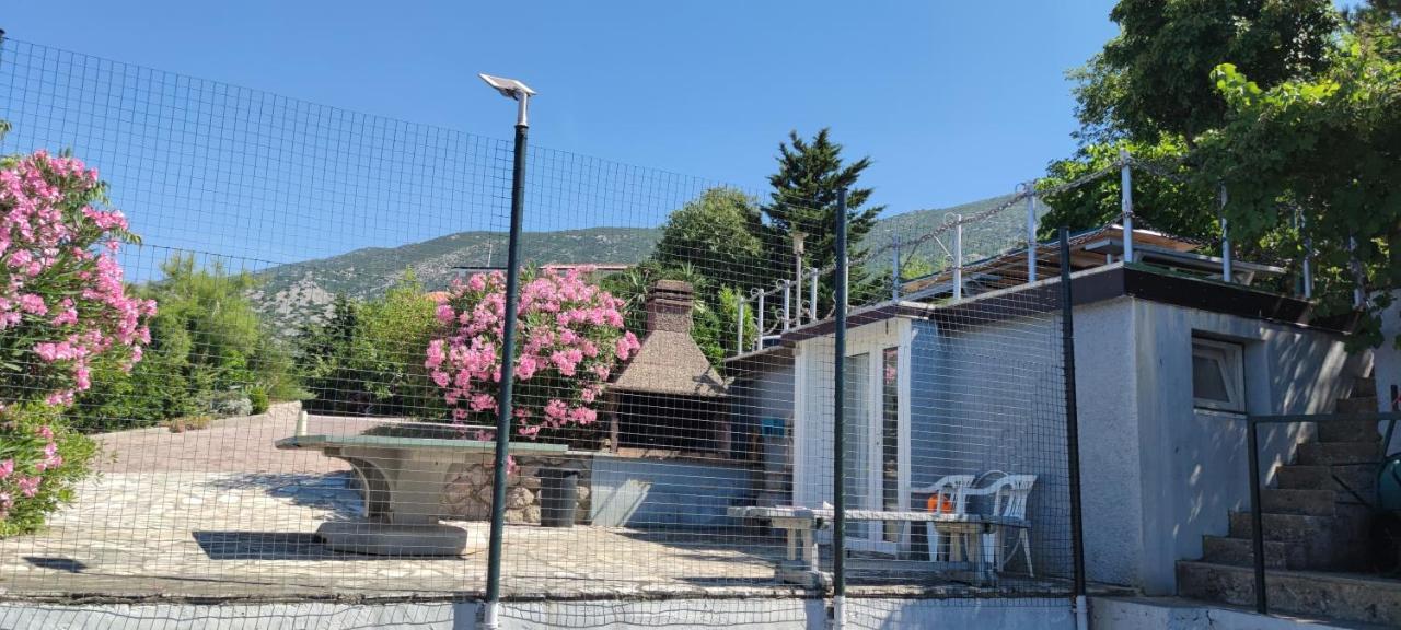 Resort Haus Toma 策萨利卡 外观 照片