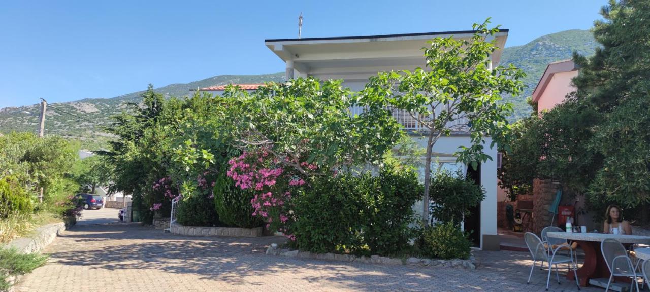 Resort Haus Toma 策萨利卡 外观 照片