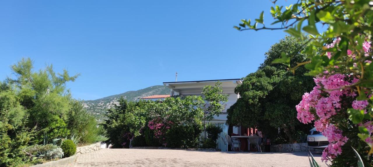 Resort Haus Toma 策萨利卡 外观 照片