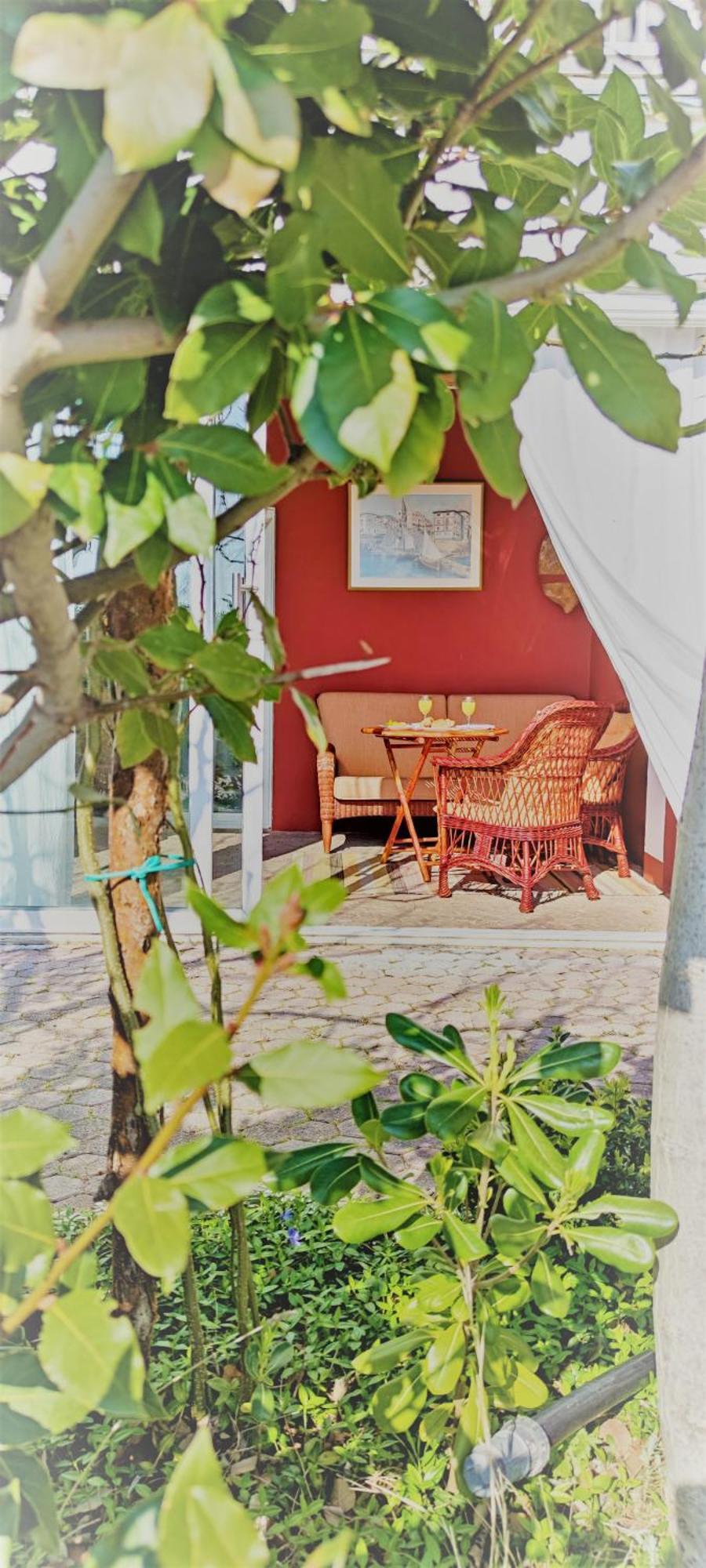 Resort Haus Toma 策萨利卡 客房 照片